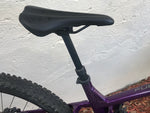 2020 Trek Fuel EX5 Large 29er