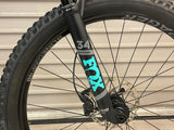 2019 Trek Fuel EX8 WSD