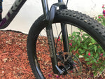 2020 Trek Fuel EX5 Large 29er