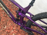 2020 Trek Fuel EX5 Large 29er