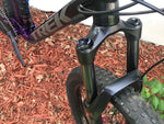 2020 Trek Fuel EX5 Large 29er