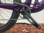 2020 Trek Fuel EX5 Large 29er