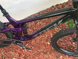 2020 Trek Fuel EX5 Large 29er