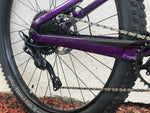 2020 Trek Fuel EX5 Large 29er